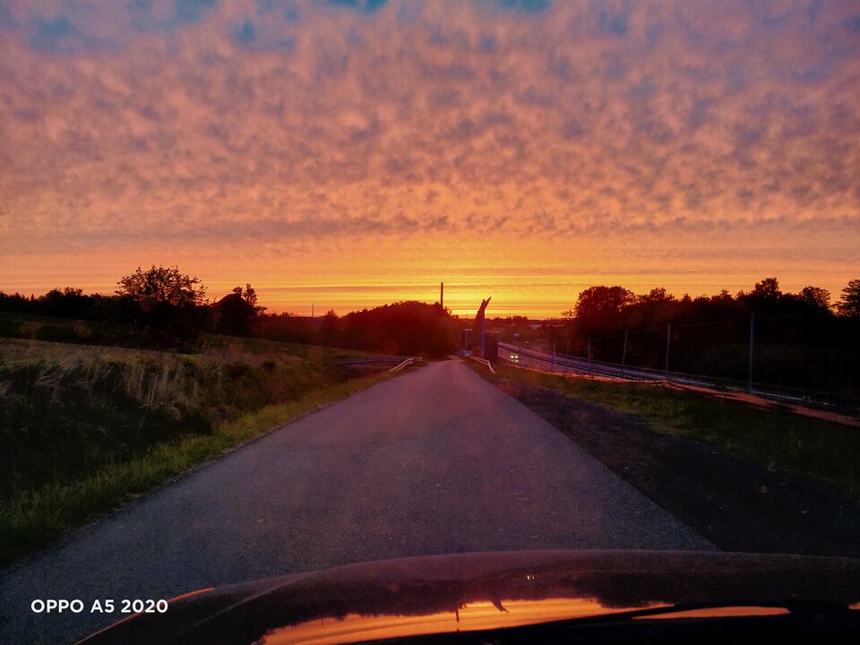 IMG20200523043940.jpg - BoscyMy