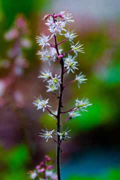 Tęczowo na miły dzionek ;)