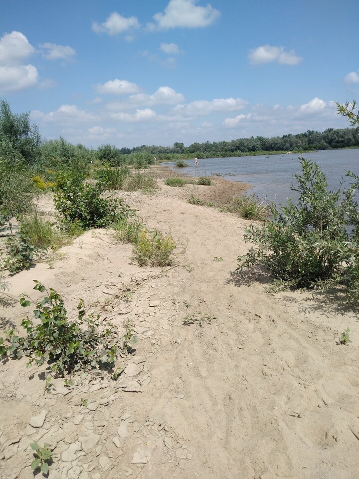 15920398368628592969272670510191.jpg - wawamybi