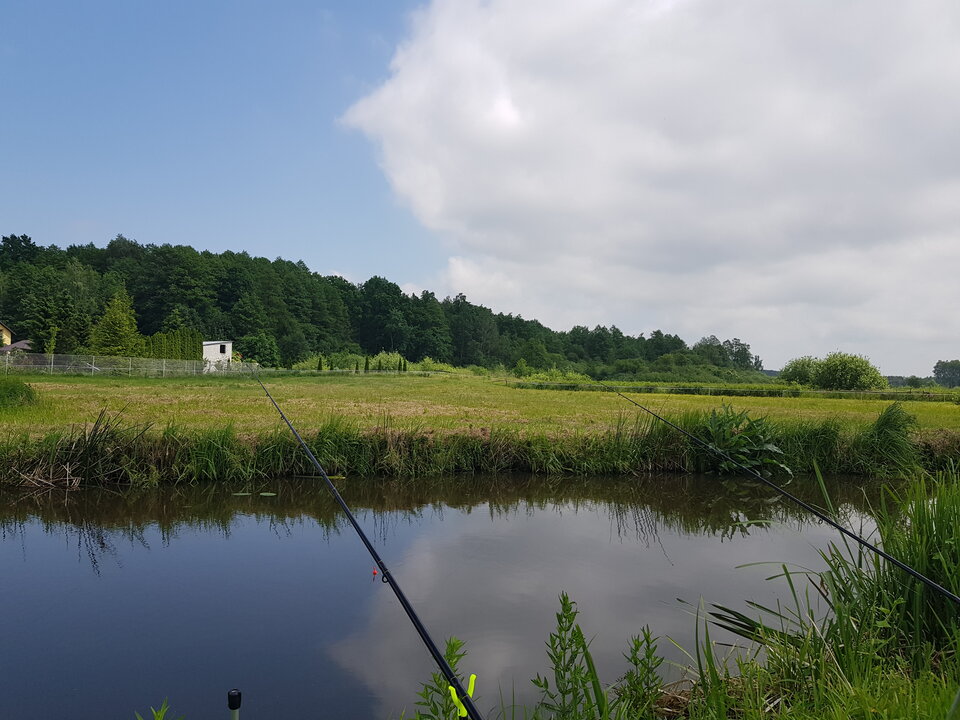 15920480993867820502692995516548.jpg - CCC76