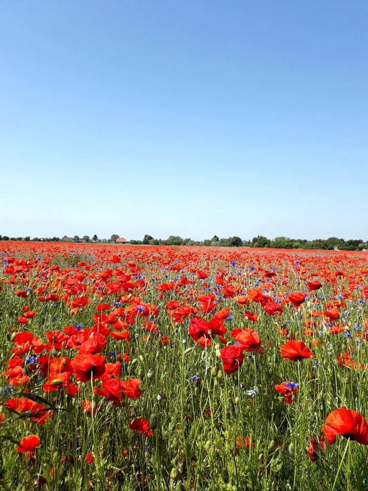 20200613_133912.jpg - Alien65