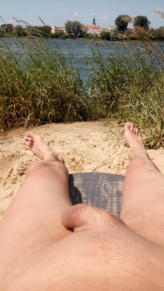 IMG_20200613_141137_1CS.jpg - Dandi78