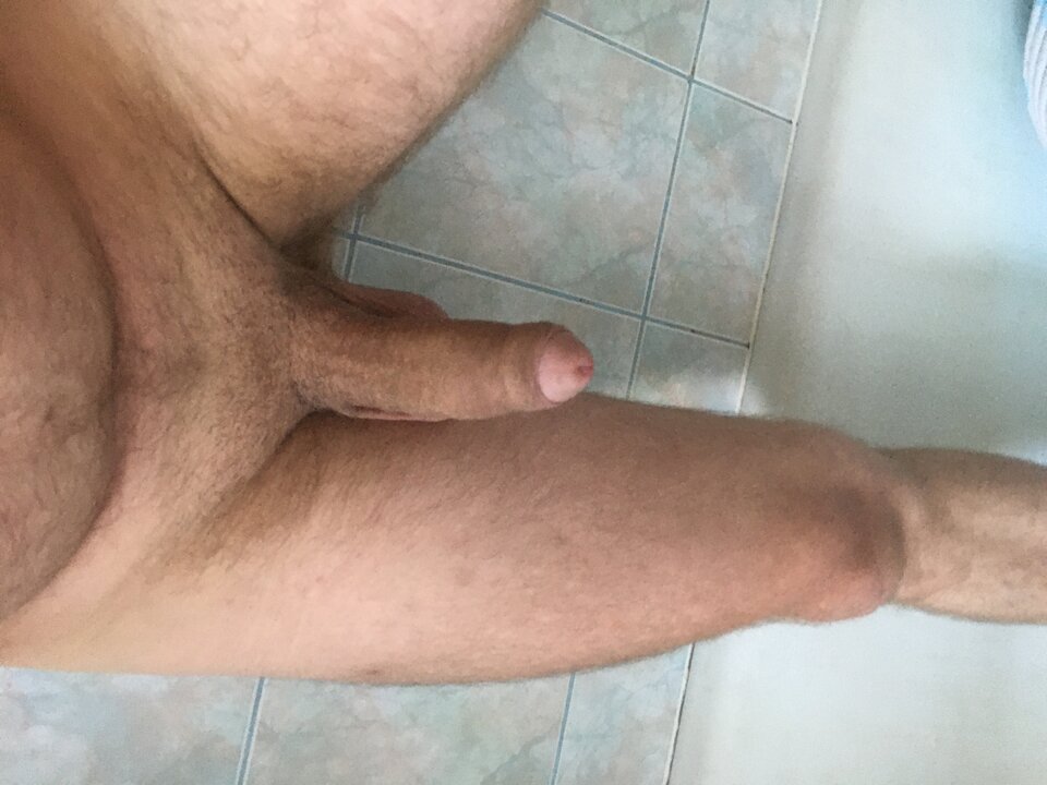 image.jpg - Seba2481