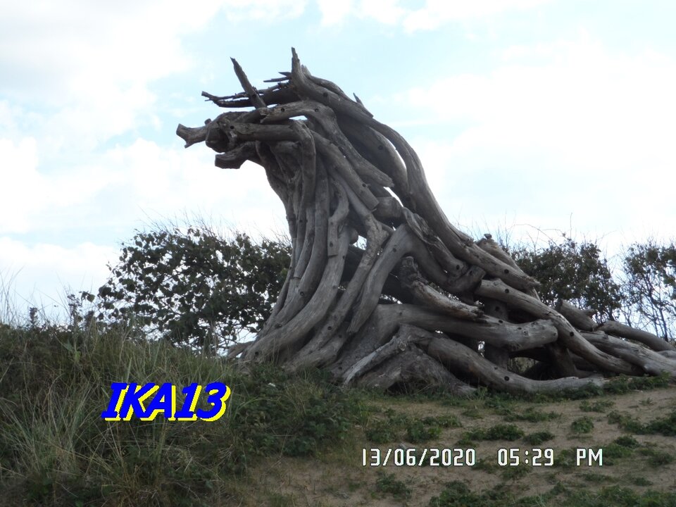 SAM_2638.JPG - ika13