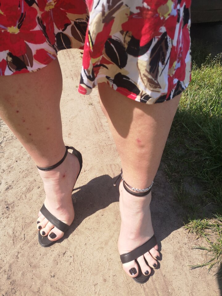 IMG_20200613_113502.jpg - Goscinny76