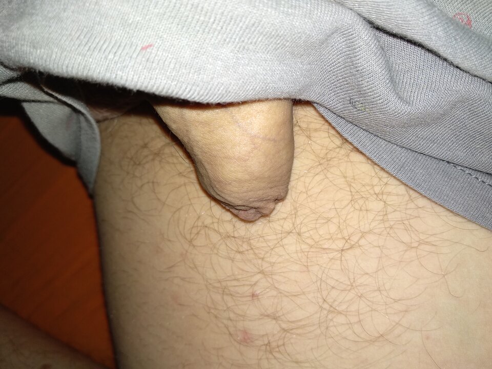 15920823237401878272811910359448.jpg - dupekalex