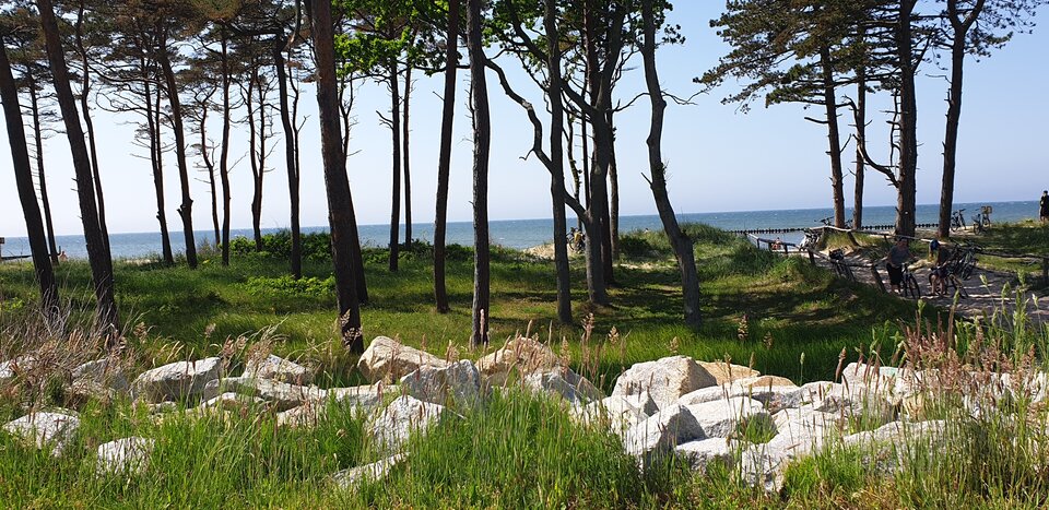 20200613_143449.jpg - parkakrk4