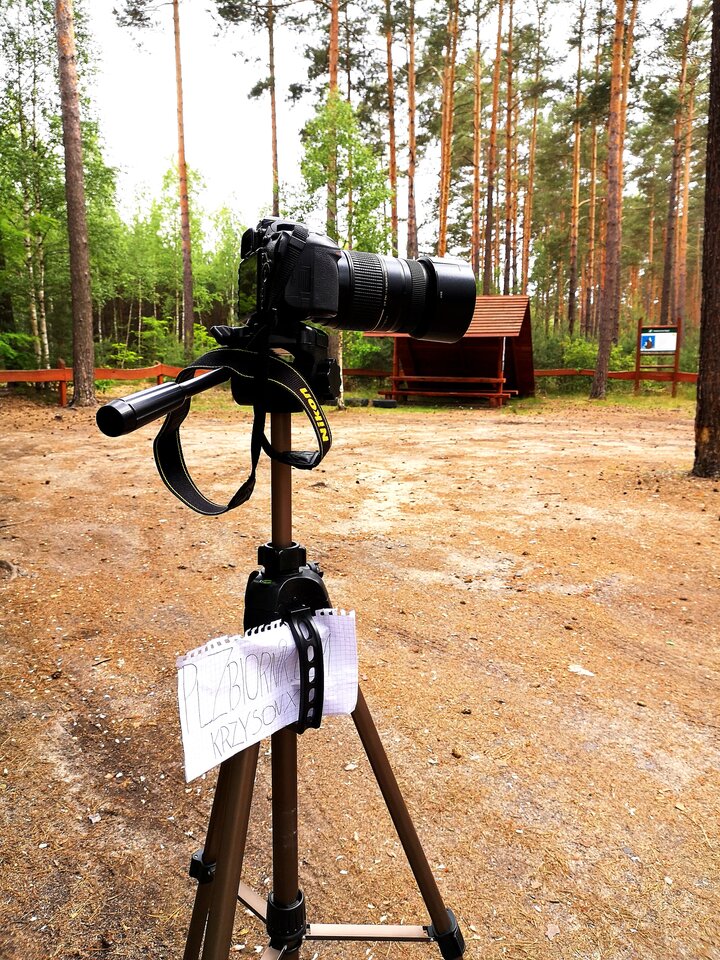 Plenerowo, dyskretnie, realnie - krzysonx