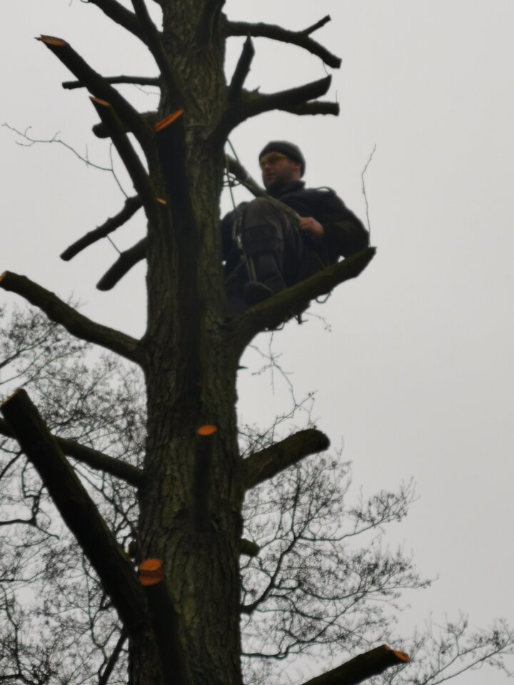 attach.jpeg - Mariuszr77