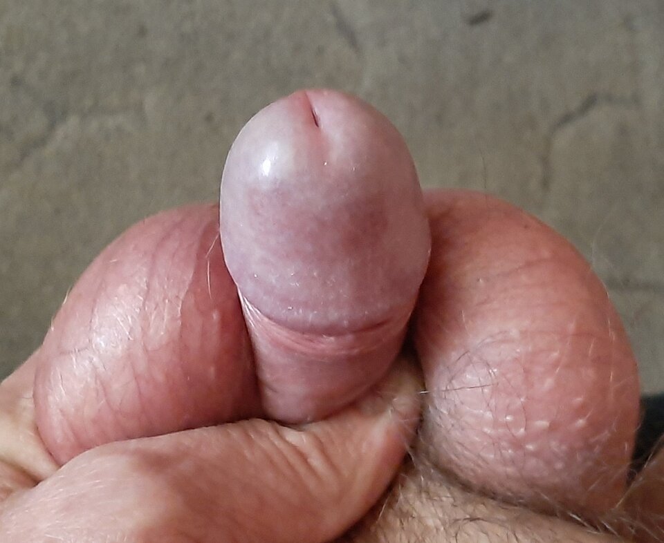 20200613_102952.jpg - Jacencior