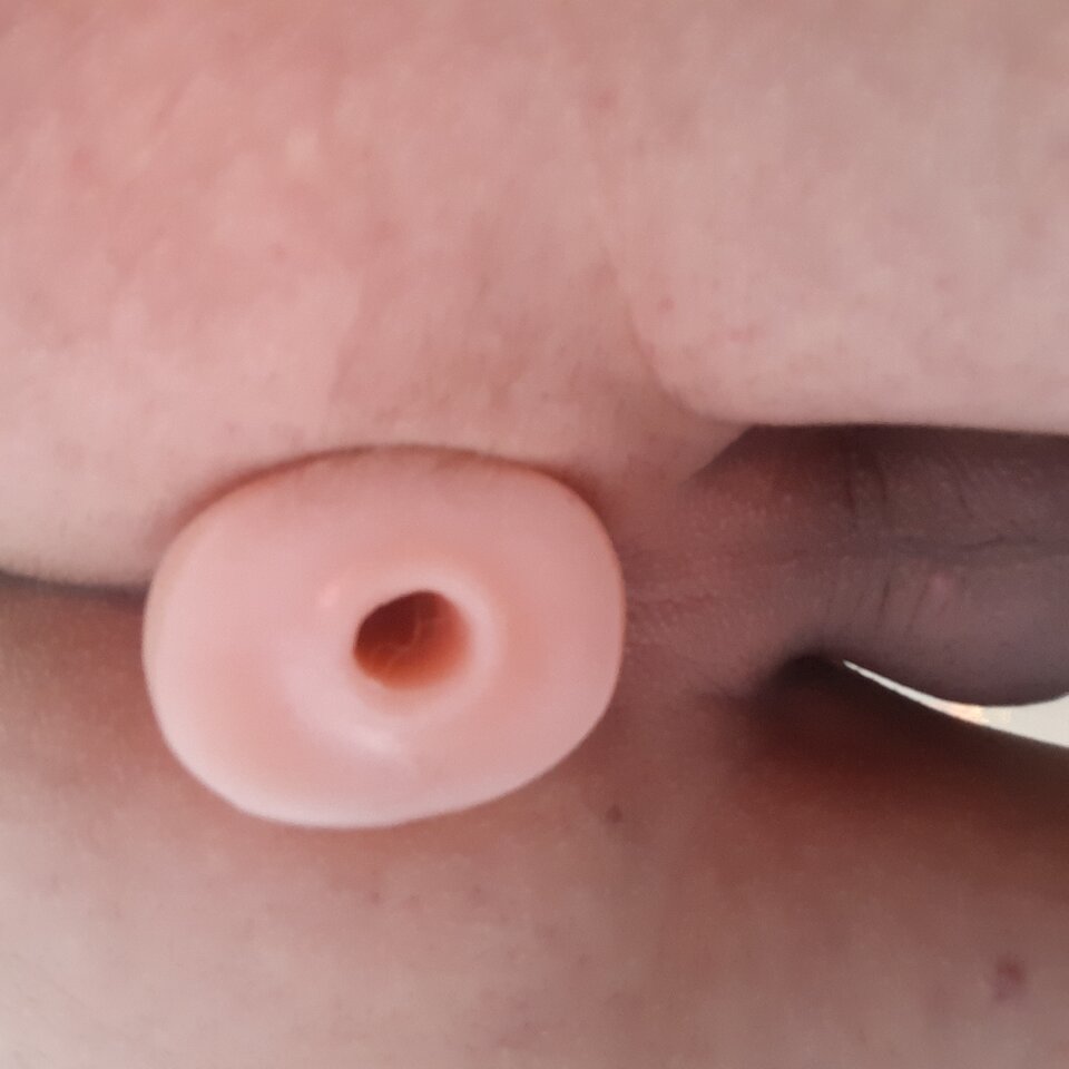 20200614_130148.jpg - Transpola