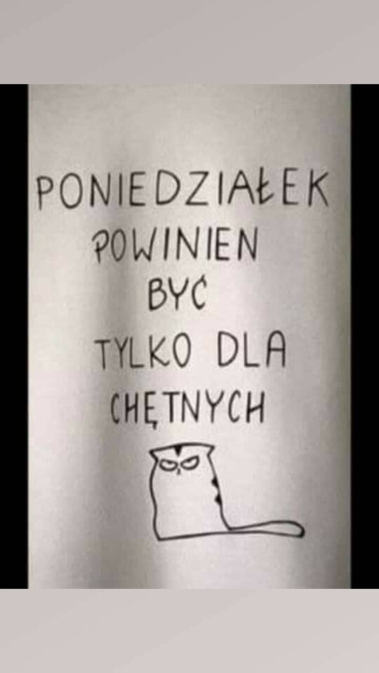 received_548687656017231.jpeg - misiu88991