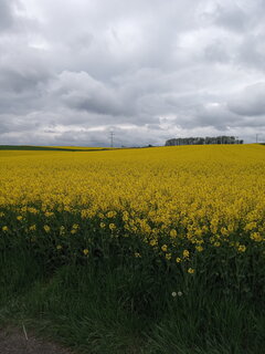 IMG_20200503_134441.jpg