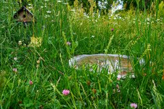 Mieszkanie + i Oczko +