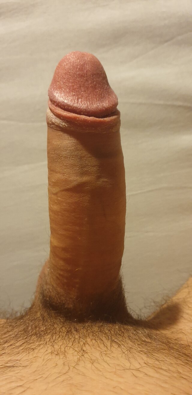 M_Kutek10