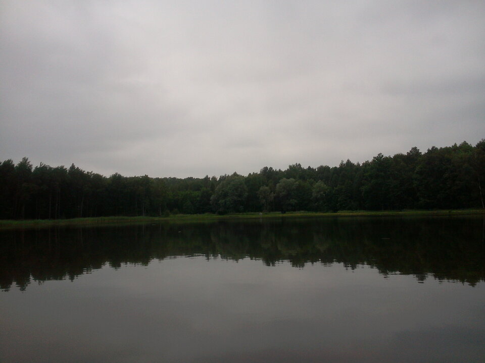 20200614_125040.jpg - zzzzz7