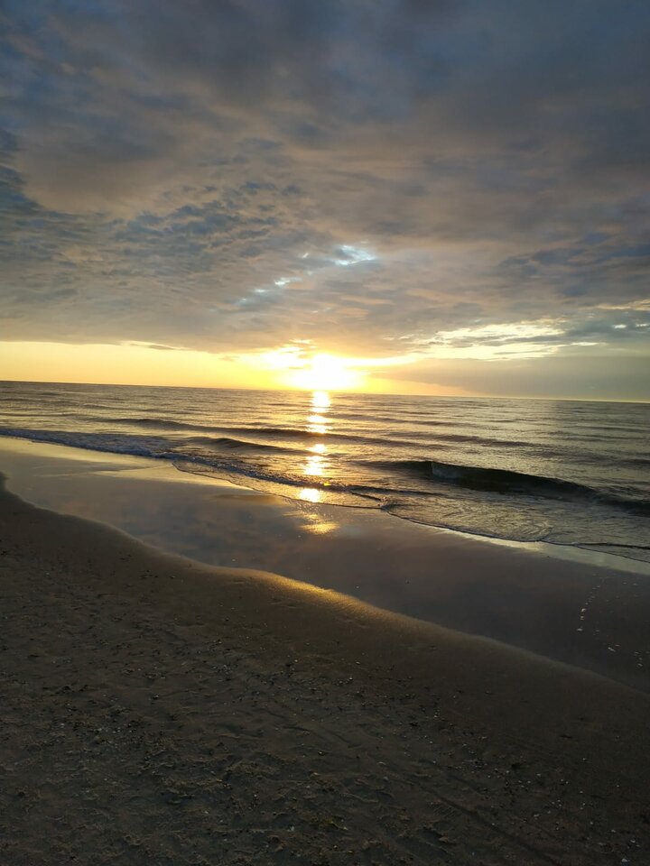 IMG-20200616-WA0005.jpg - Tradycyjna