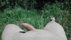 Poznam panią do wspólnych wypadów na plażę.