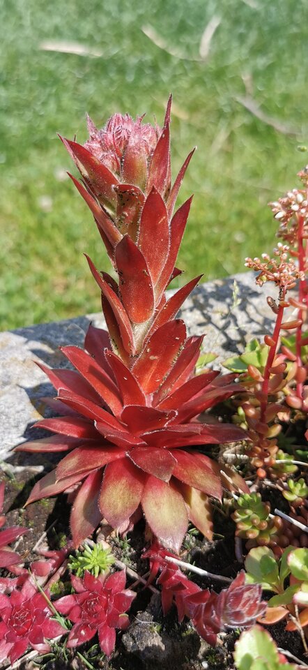 IMG_20200616_133824.jpg - AdamBrzeg48