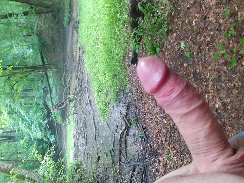 20200616_142254.jpg - Wilczek2