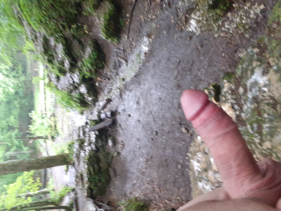 20200616_142605.jpg - Wilczek2