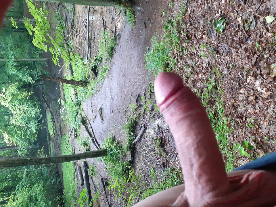 20200616_141307.jpg - Wilczek2