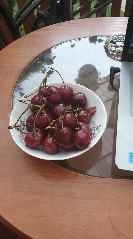 104156389_1117738148612360_1852765960813240725_n.jpg - marysia1970