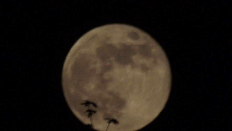 IMG_20200507_220400.jpg - GliwPara45