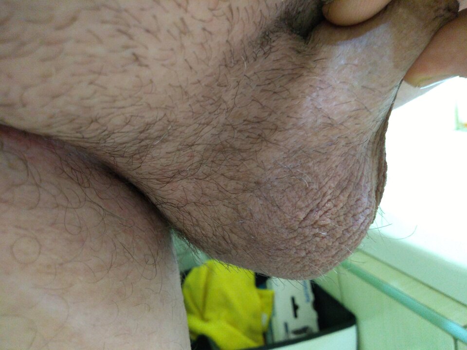 15923669708339098690328997716429.jpg - matuzalem000