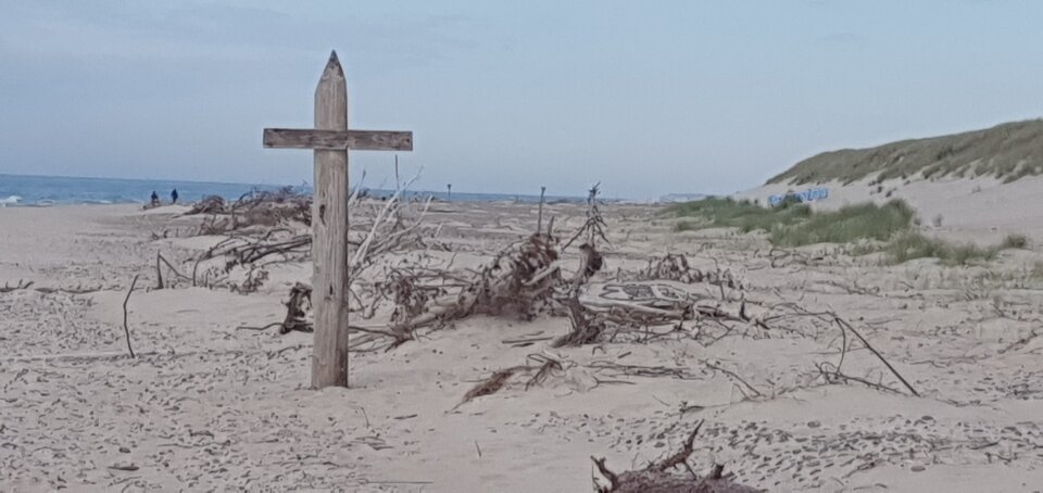 20200616_174946.jpg - pokuszenine