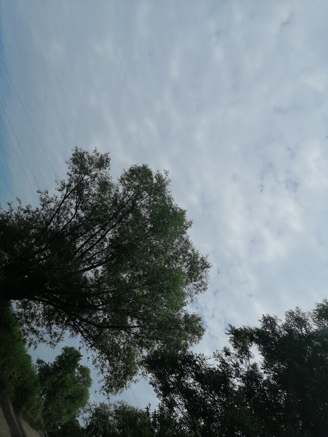 NieprzecietnyGosc89