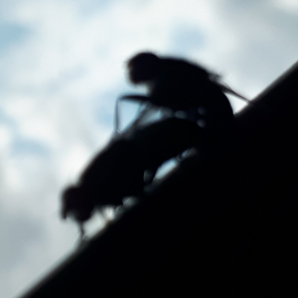 A cóż to 😁😁😁 - Tabas0