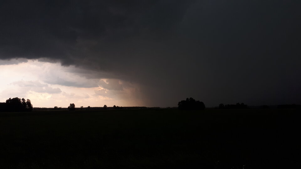 20200617_143233.jpg - Tabas0