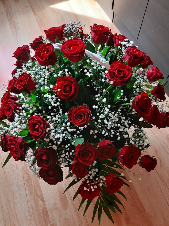 20200617_161139.jpg - ewawaldemar