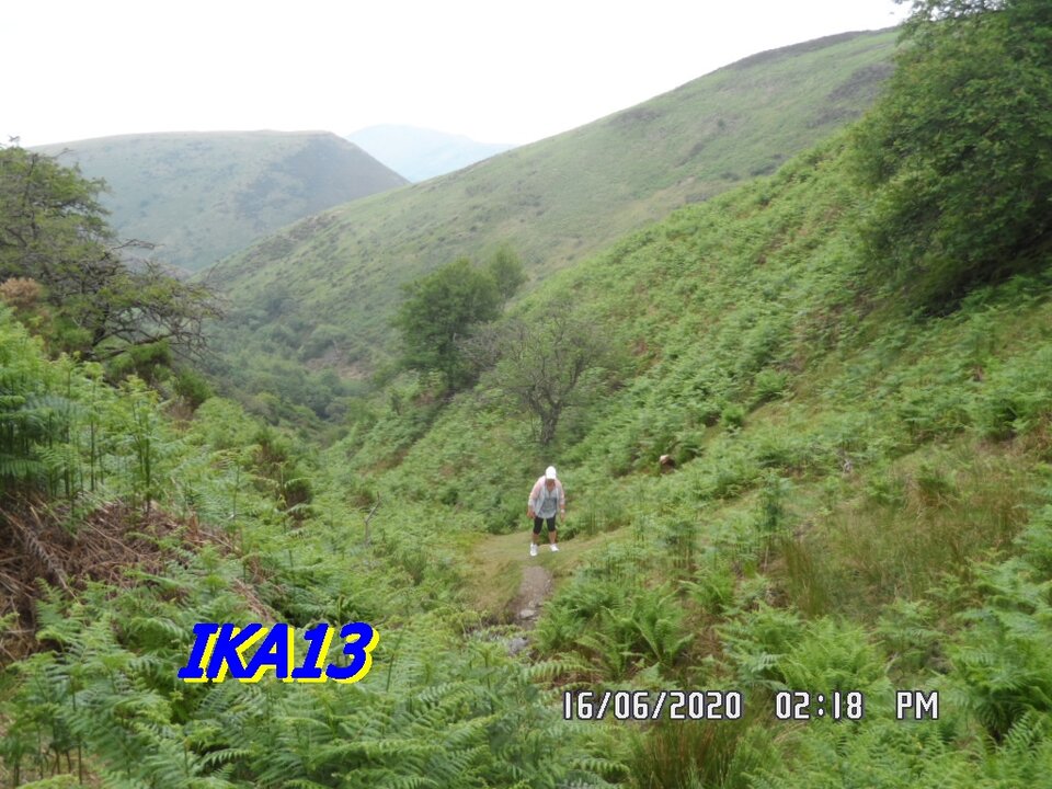 SAM_2698.JPG - ika13