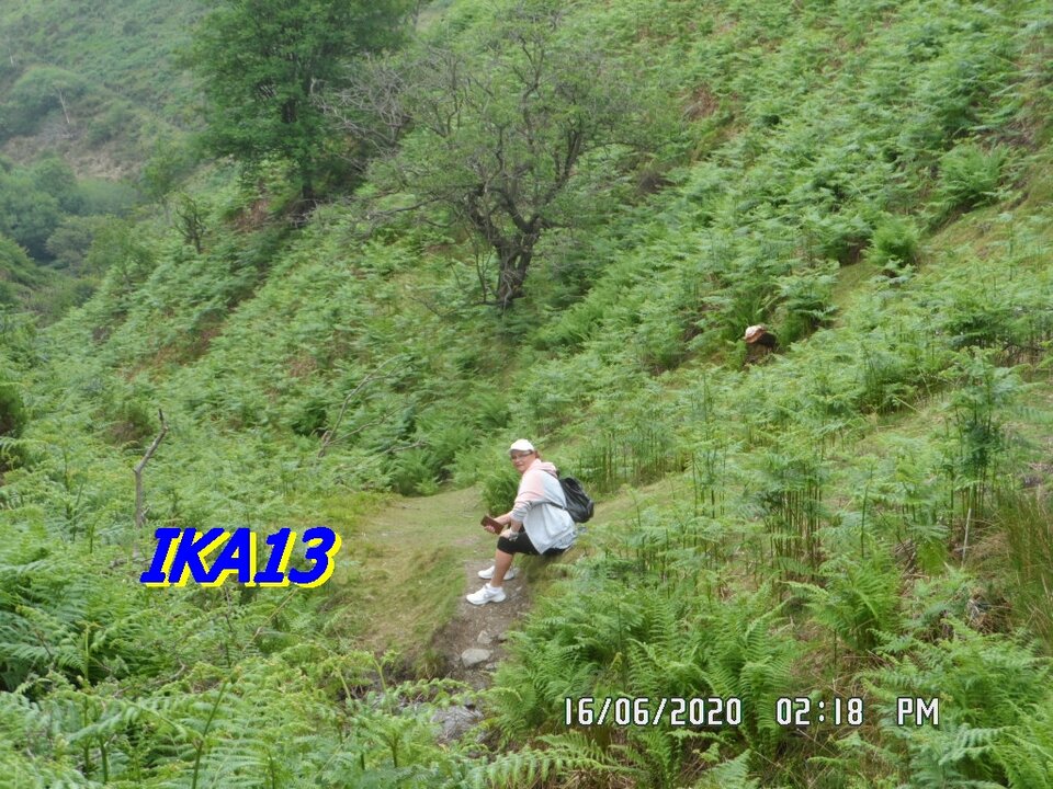 SAM_2700.JPG - ika13