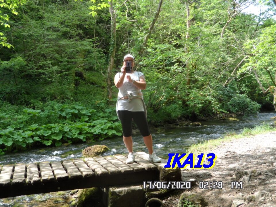 SAM_2711.JPG - ika13