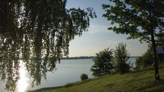 IMG_20200617_190343.jpg