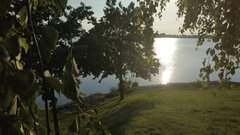 IMG_20200617_190212.jpg