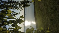 IMG_20200617_190134.jpg