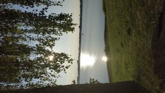 IMG_20200617_190119.jpg