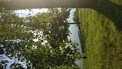 IMG_20200617_190122.jpg