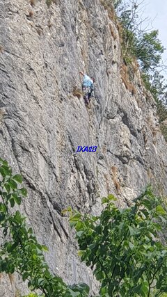 20200617_162412.jpg