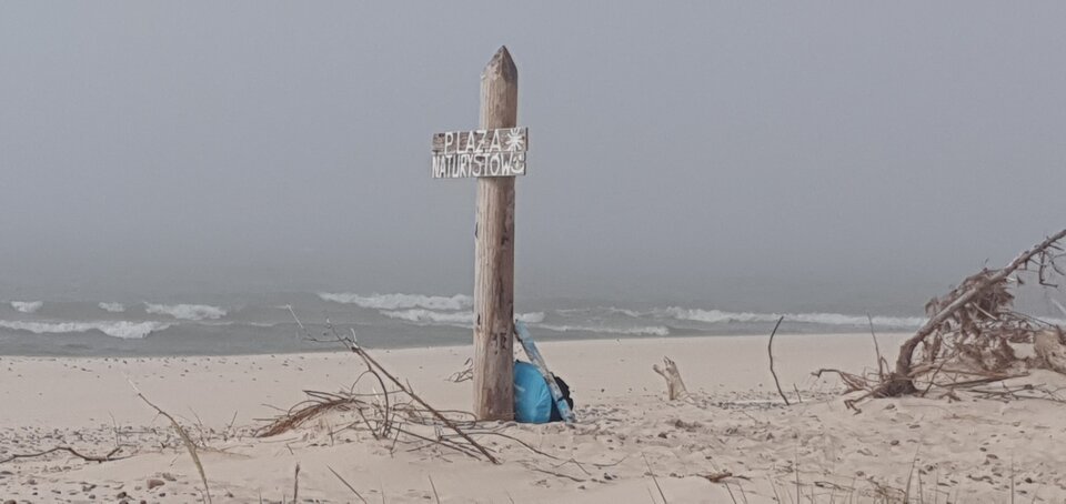 20200617_163046.jpg - pokuszenine