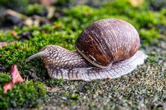 PULL UP!!   TERRAIN AHEAD!!