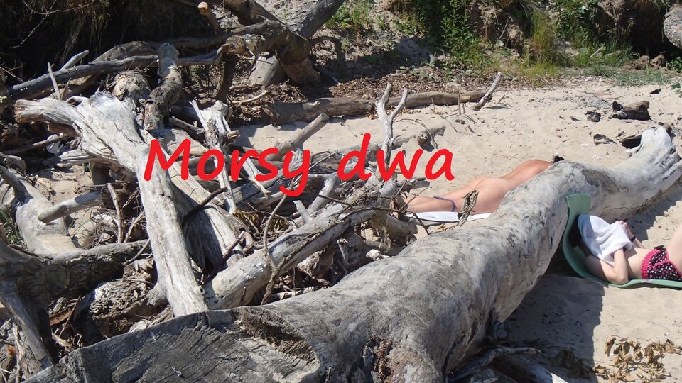 W majtkach !!! - Morsy_dwa