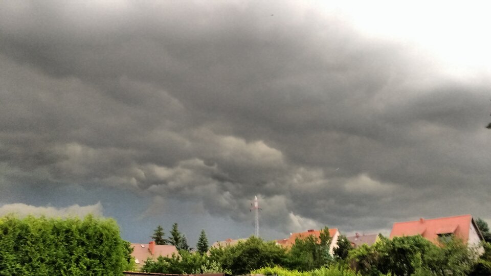 IMG_20200617_210219605.jpg - matij053