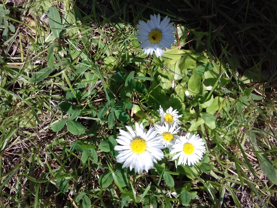 20200618_122556.jpg - subtelny2