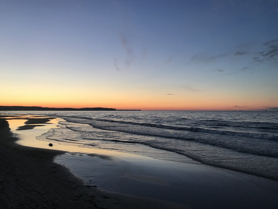 55509FCD-2C62-41A0-8ABD-0D36F0CA0333.jpeg - OnViper