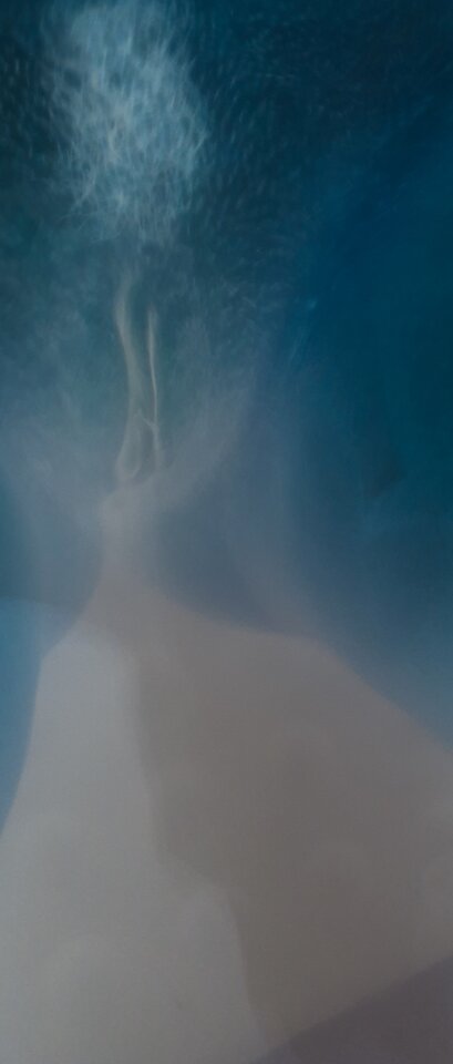 20200619_085056.jpg - MBSL